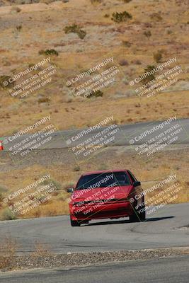 media/Feb-22-2025-Team Topak Racing (Sat) [[cb57a51a40]]/86 Party Brigade/Turns 13 and 14/